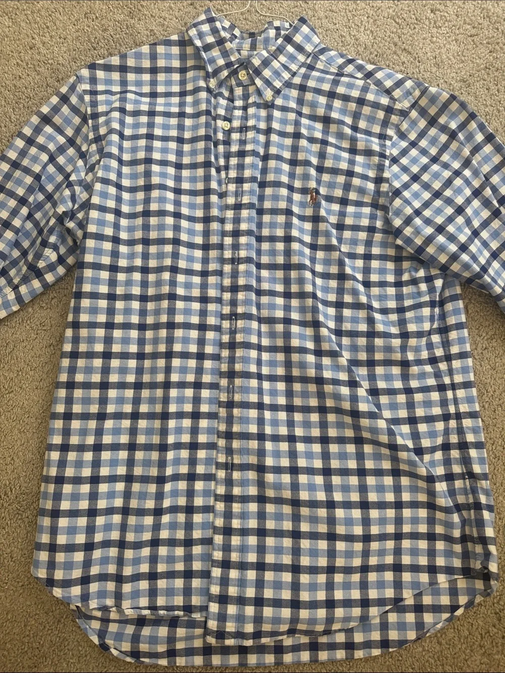 Polo by Ralph Lauren Blue and White Gingham Button-Down Shirt